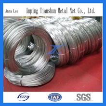 Electro Galvanized High Quality Wire